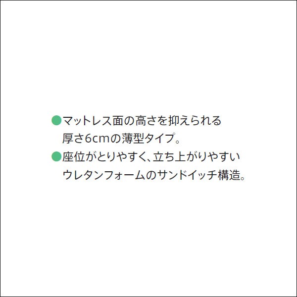 フランスベッド 介護用マットレス 病院 介護施設 薄型 高弾性 フランスベッド 介護用マットレス 病院 介護施設 薄型 高弾性
