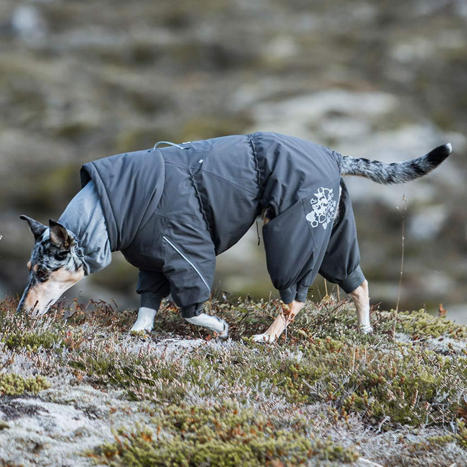 フルッタ Hurtta 犬 服 オーバーオール 犬服 冬 アウター 小型犬 防寒