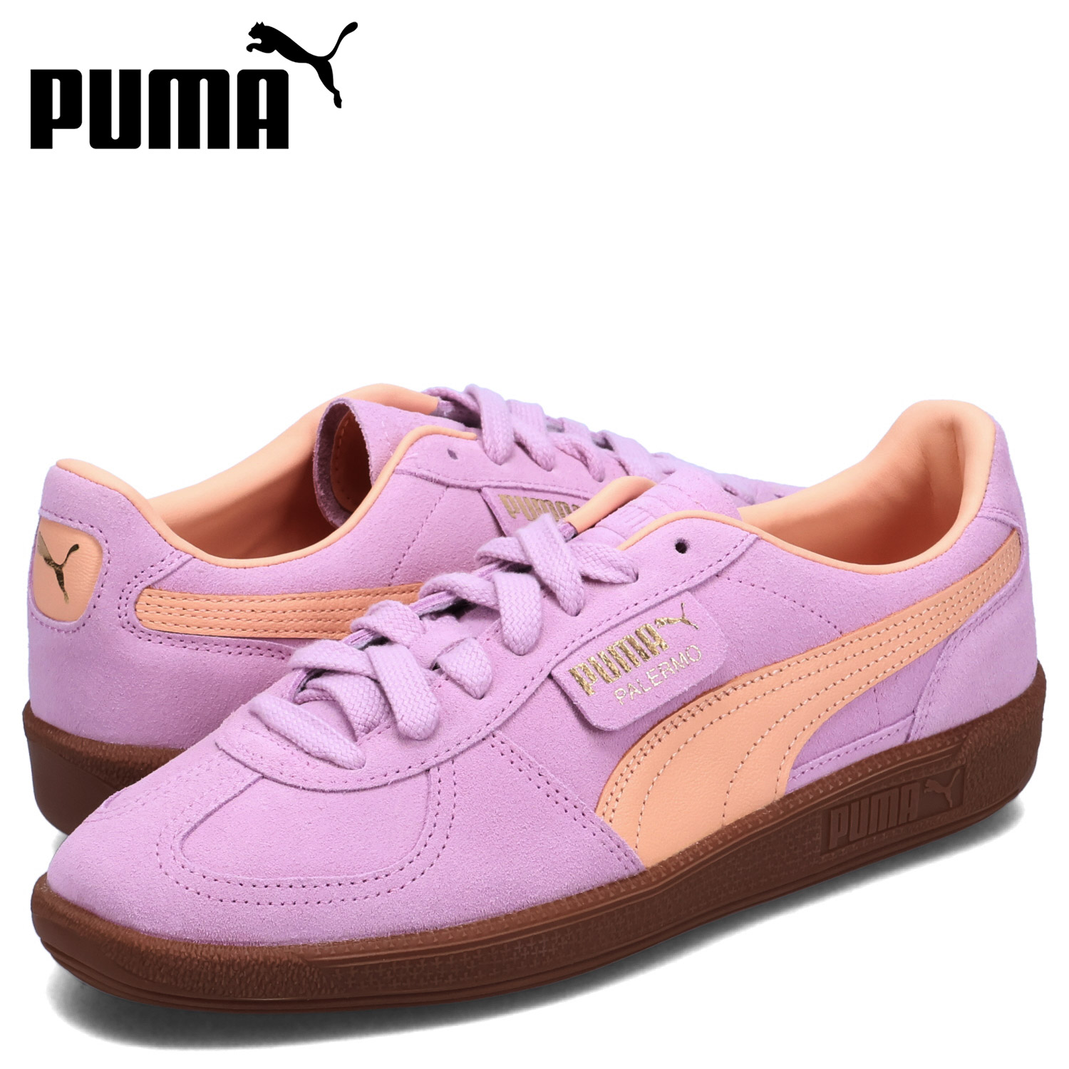 pu079464-02.jpg
