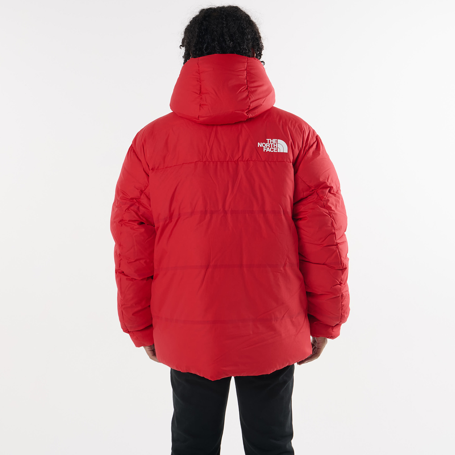 tnf-nf0a7uqy-682_5.jpg