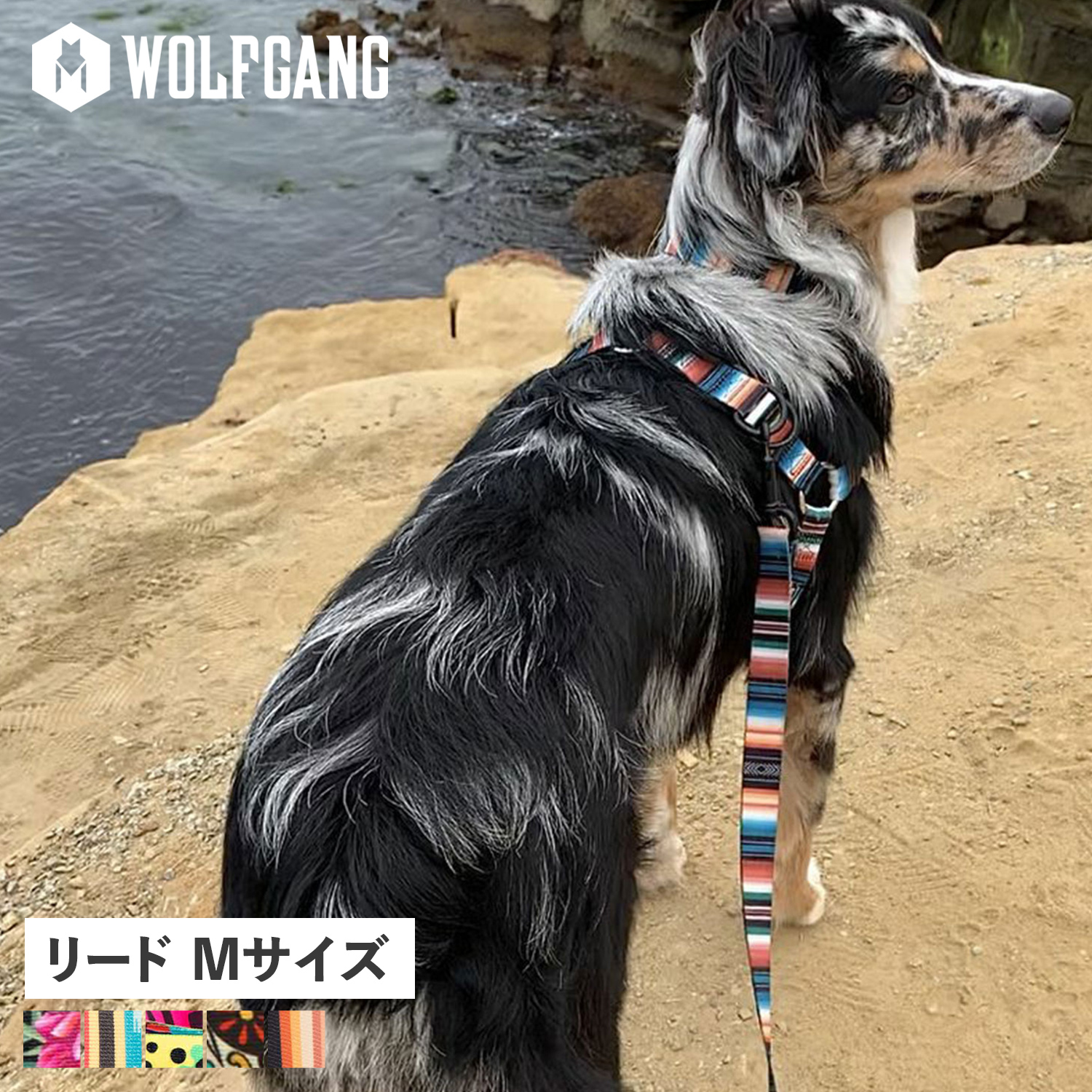 WOLFGANG MAN & BEAST リード WOLFGANG MAN & BEAST ウルフギャング WOLFGANG リード 犬用品 中型犬