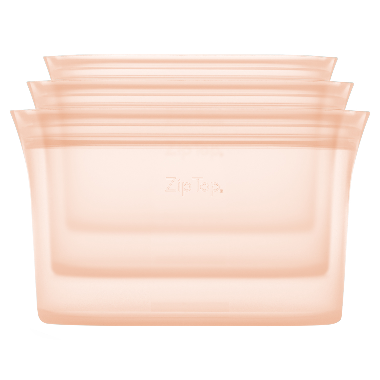 ZIPTOP ジップトップ 保存容器 保存袋 ディッシュ 3点セット チャック付き シリコン DISH グレー ブルー ピンク クリア Z-DSH3A | Zip Top | 03