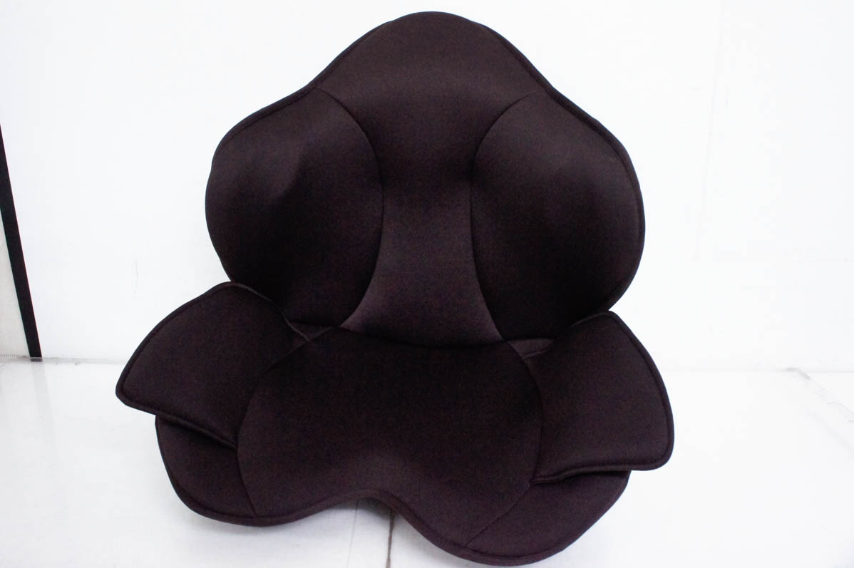 未使用 芦屋美整体 骨盤スリム スタイリーエアー CY-1153 中古 芦屋美整体 骨盤スリムスタイリーエアー CY-1153 : エスネット