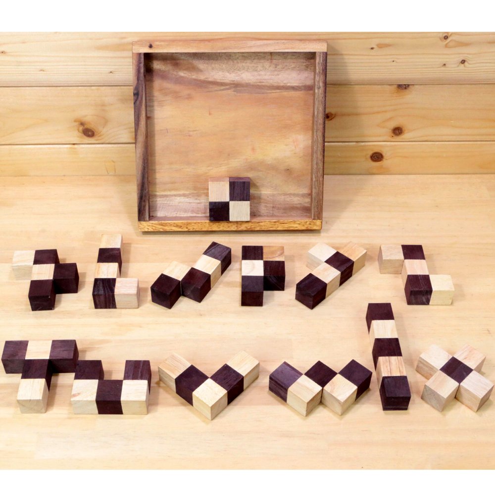 ロックスモーション ウッドパズル ペントミノ 木製おもちゃ 箱入り 知育パズル 頭の体 知育 脳トレ 組み立てパズル 全国どこでも送料無料 高齢者 パズル