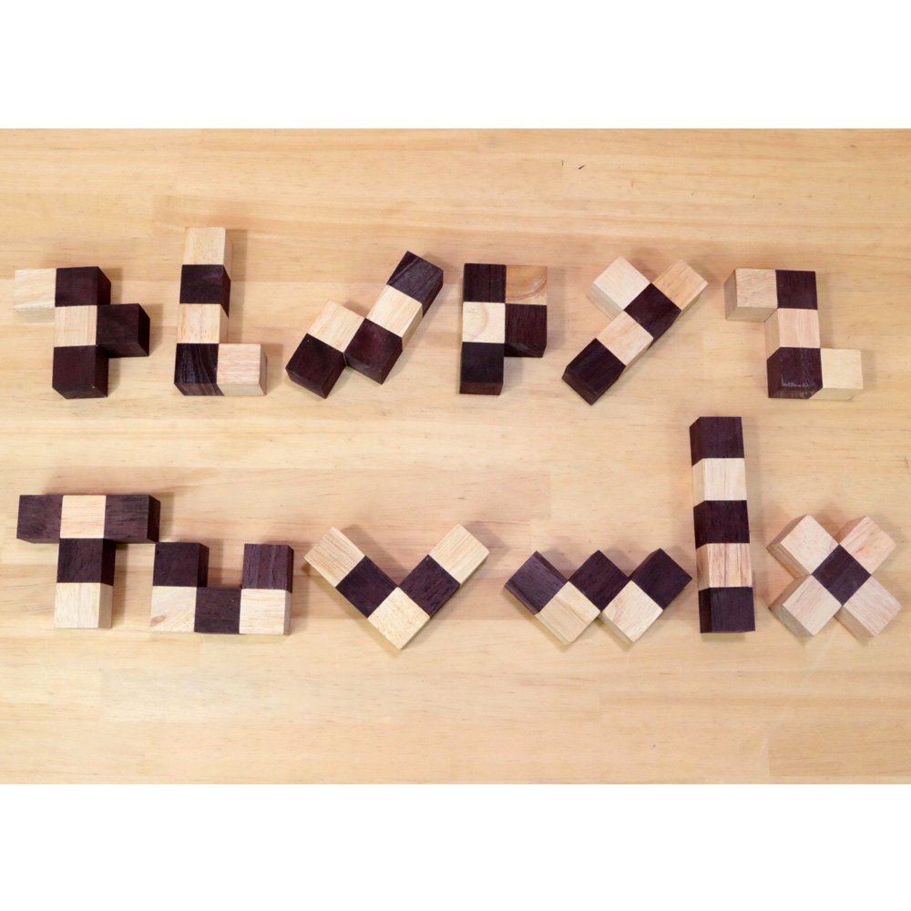 ロックスモーション ウッドパズル ペントミノ 木製おもちゃ 箱入り 知育パズル 頭の体 知育 脳トレ 組み立てパズル 全国どこでも送料無料 高齢者 パズル