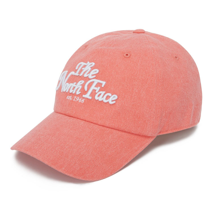 THE NORTH FACE ノースフェイス ベースボールキャップ LOGO BALL CAP WA...