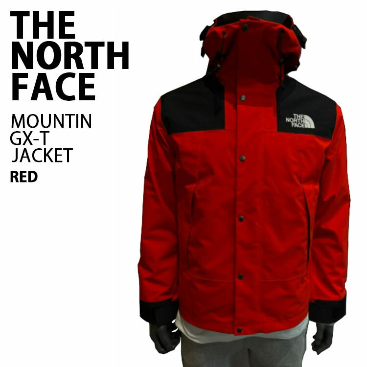 THE NORTH FACE ノースフェイス マウンテン ジャケット GTX MOUNTAIN