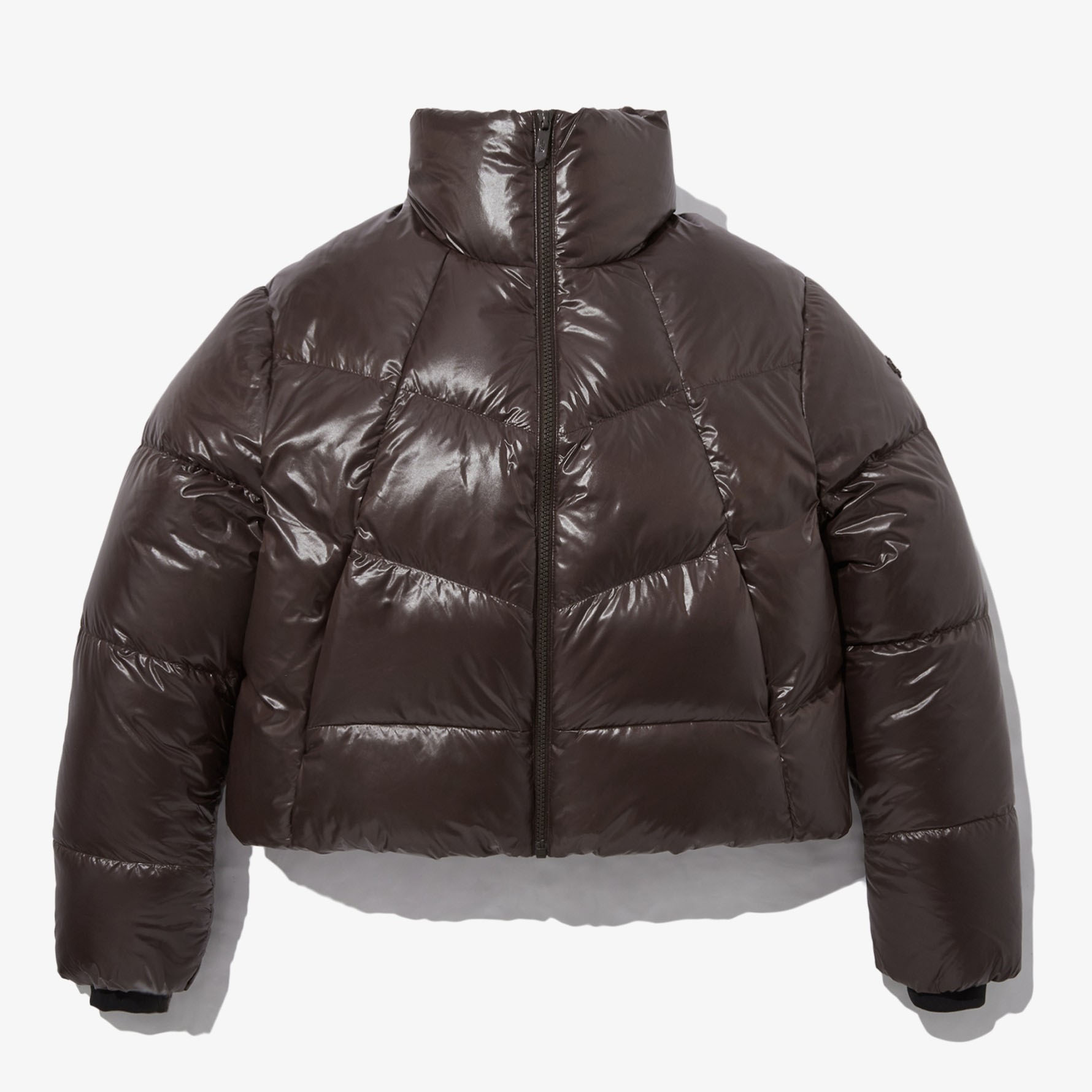 THE NORTH FACE ノースフェイス レディース ダウンジャケット W&apos;S GLOSSY D...