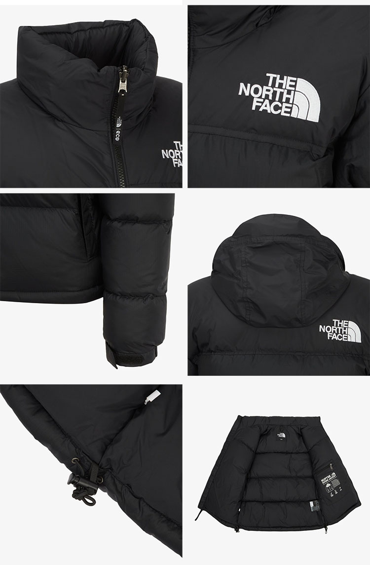 THE NORTH FACE（ザ ノースフェイス） ノースフェイス レディース