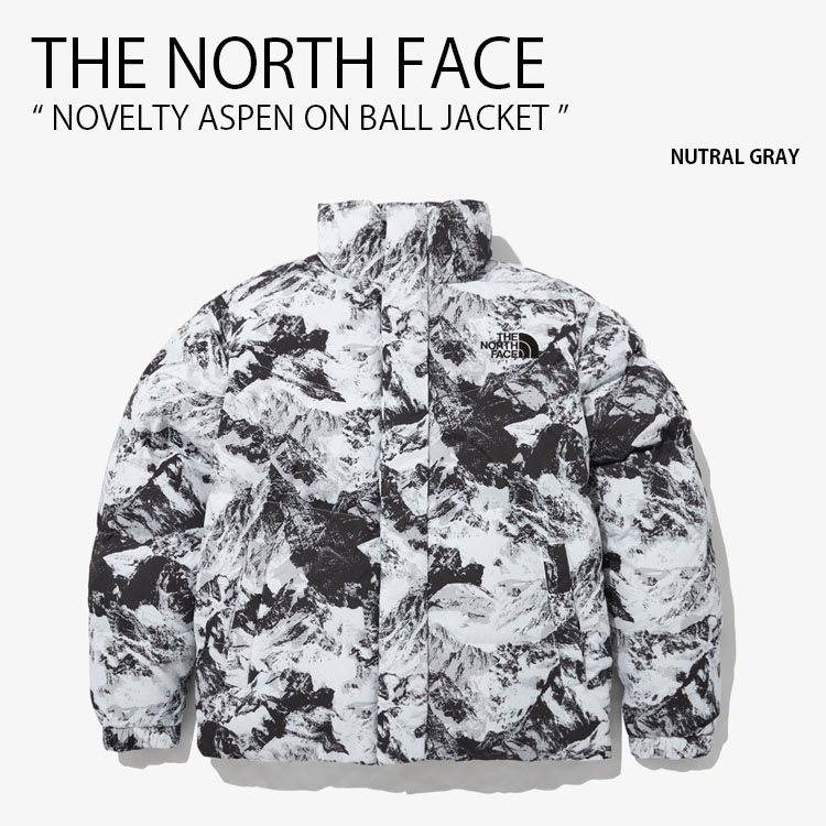 THE NORTH FACE ノースフェイス パディングジャケット NOVELTY ASPEN 