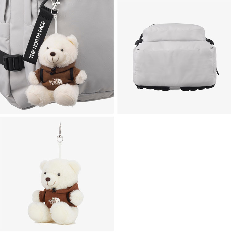 バックパック・リュック THE NORTH FACE STANDARD BOOK BACKPACK 4FT1972 THE NORTH FACE STANDARD BOOK BACKPACK 4FT1972 (THE NORTH