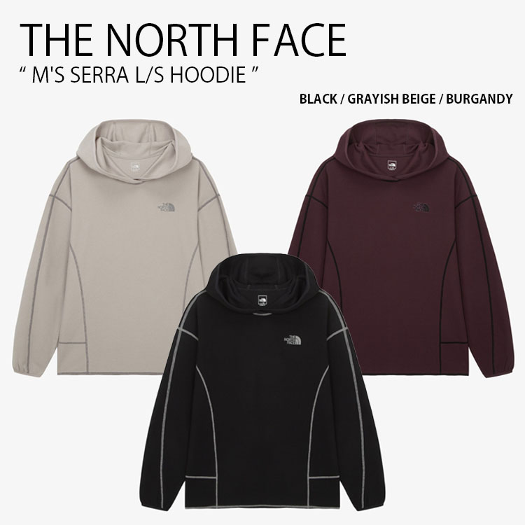 美品!ノースフェイス　パーカー　Ｌ THE NORTH FACE (ザ ノースフェイス) 裏起毛 バックラインロゴ プル