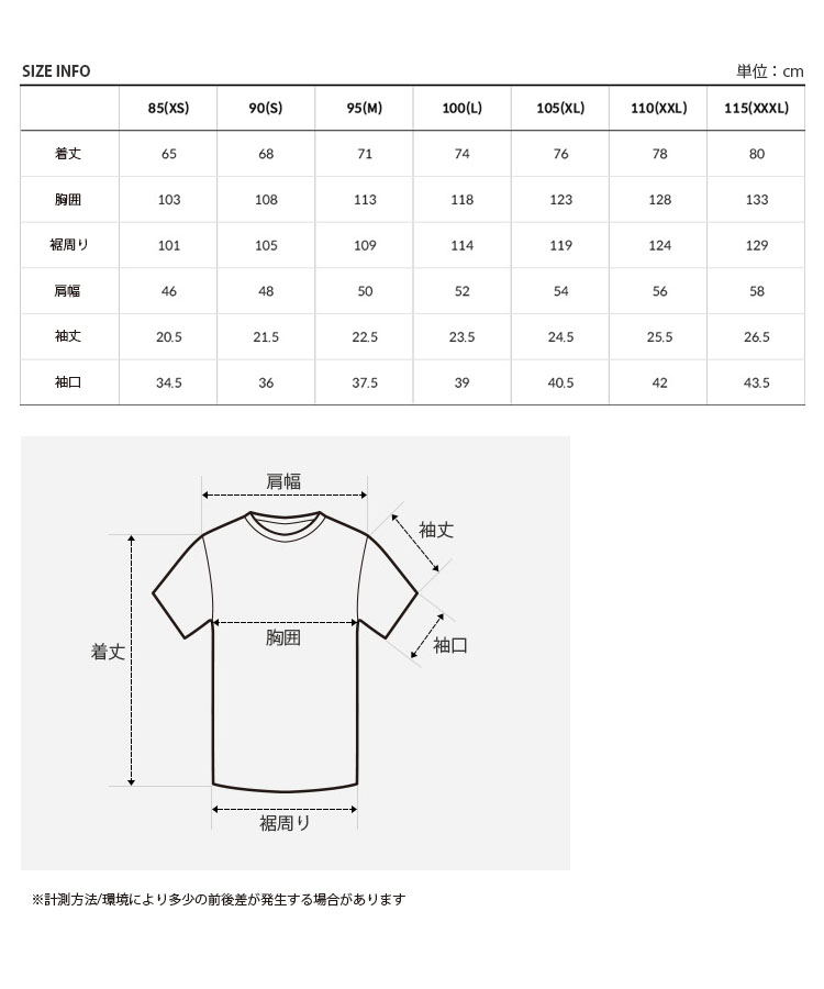 THE NORTH FACE 新品 ザ・ノースフェイス スタンダード STANDARD