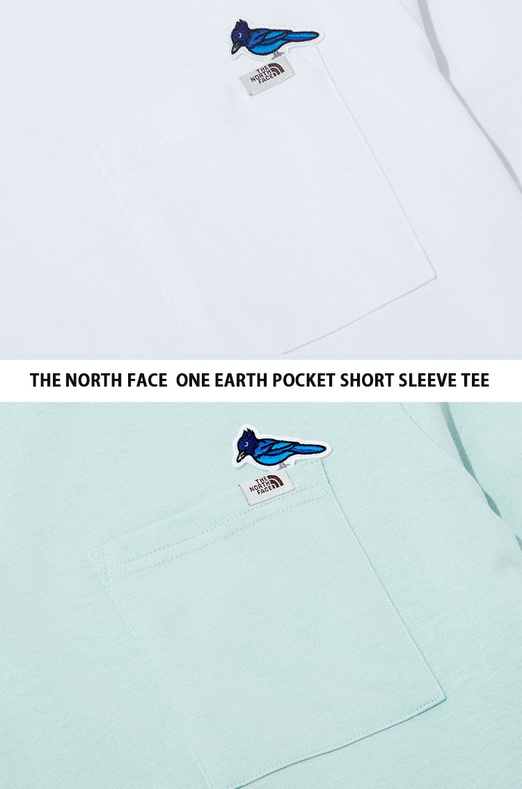 THE NORTH FACE ノースフェイス Tシャツ ONE EARTH POCKET S/SR/TEE 胸