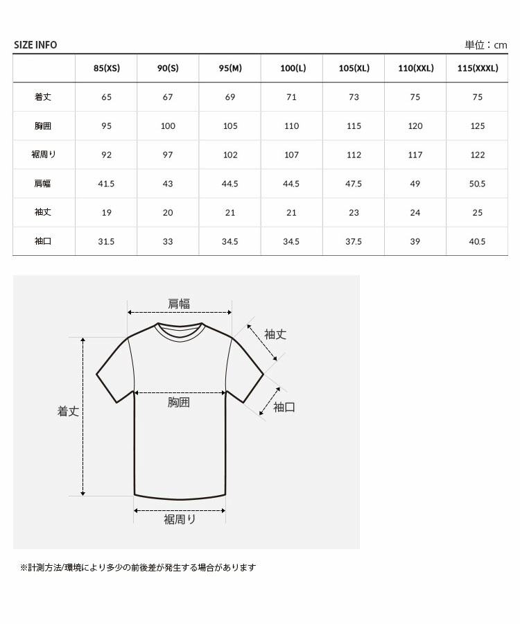 THE NORTH FACE ノースフェイス Tシャツ TNF SEOUL EDITION S/S R/TEE