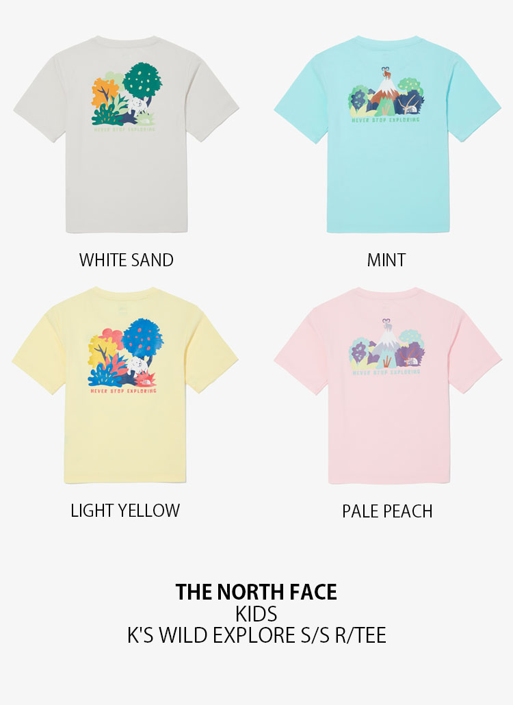 ★ドイツ発*THE NORTH FACE*新作*Explore Tシャツ/EB★ ☆ドイツ発*THE NORTH FACE*新作*Explore Tシャツ/EB☆ (THE
