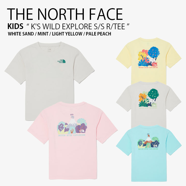 THE NORTH FACE ノースフェイス Tシャツ RELEASE S/S R/TEE