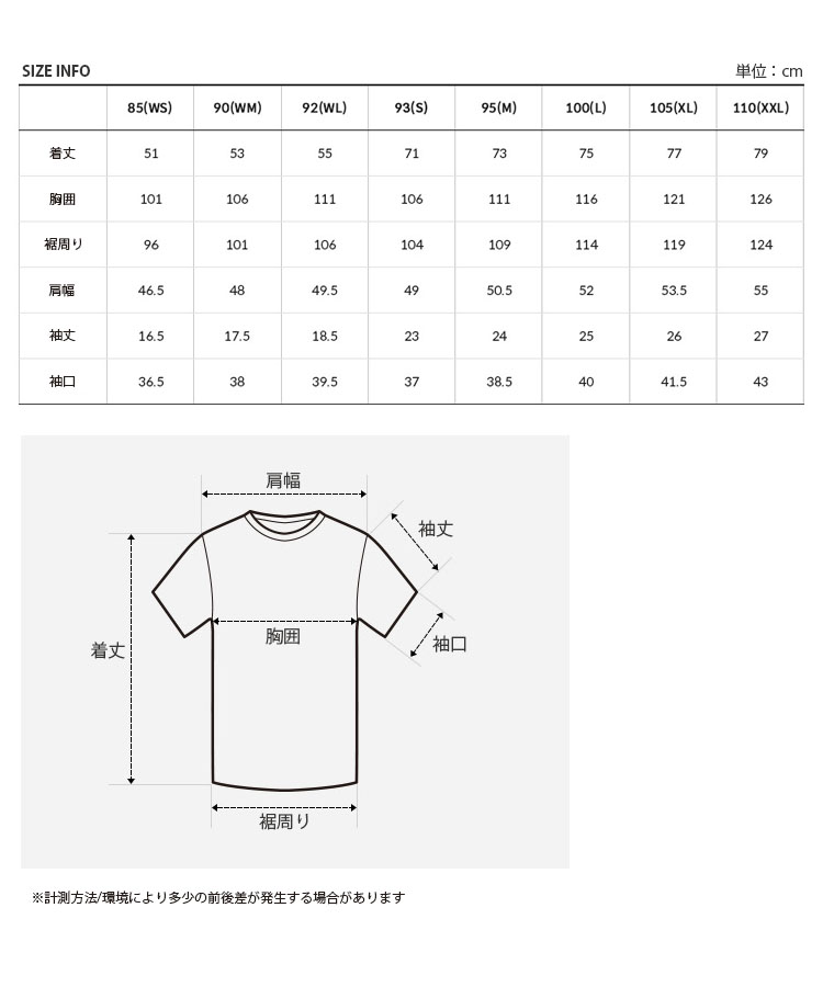 THE NORTH FACE ノースフェイス Tシャツ PATCHED LANE S/S R/TEE