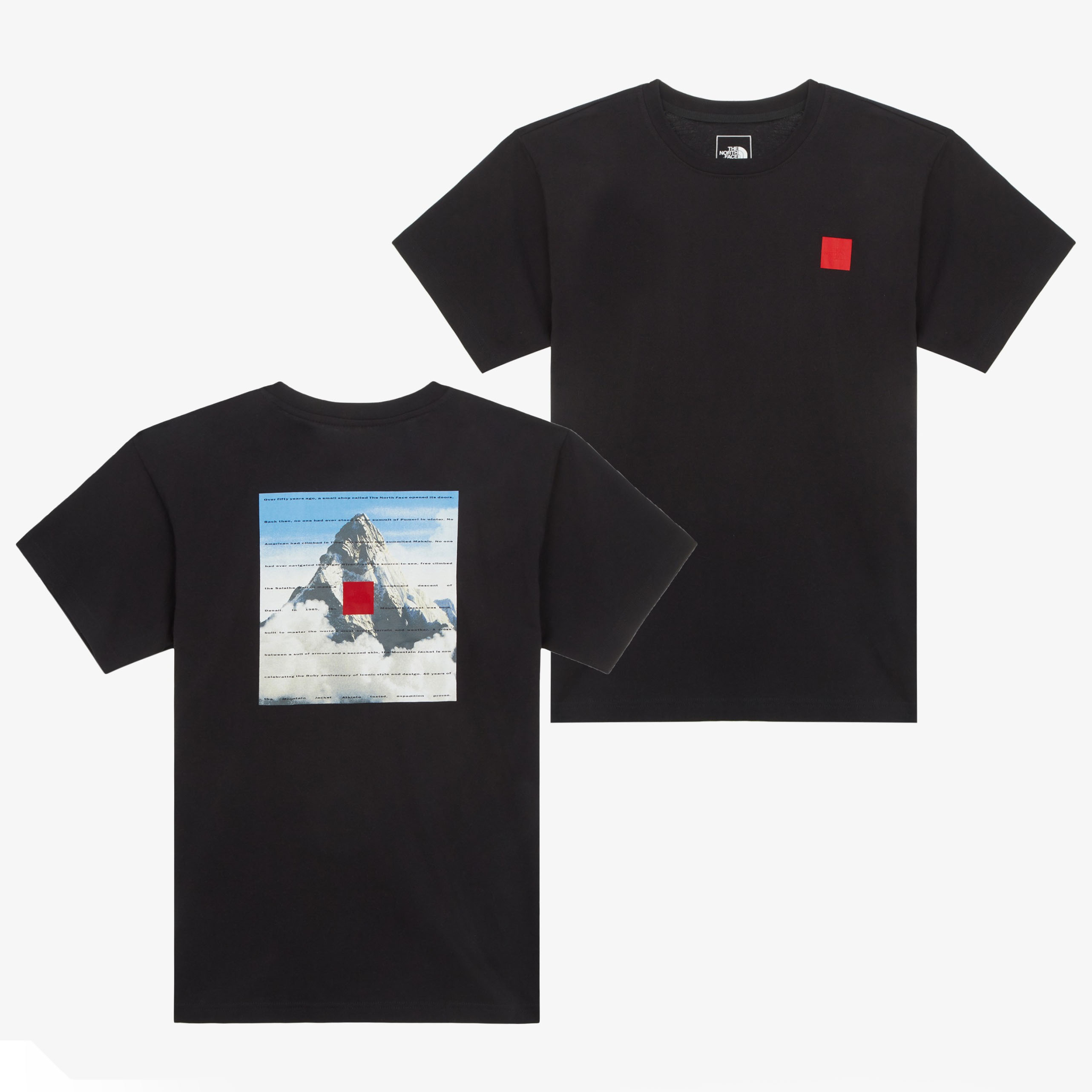 THE NORTH FACE（ザ ノースフェイス） ノースフェイス Tシャツ 限定