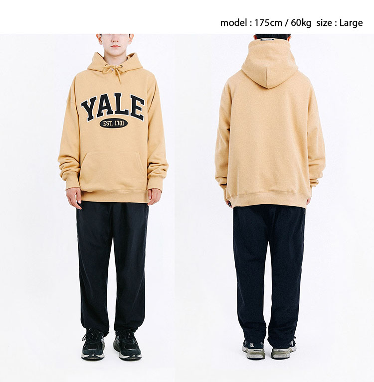 THE NORTH FACE YALE イェール パーカー 2 TONE ARCH HOODIE