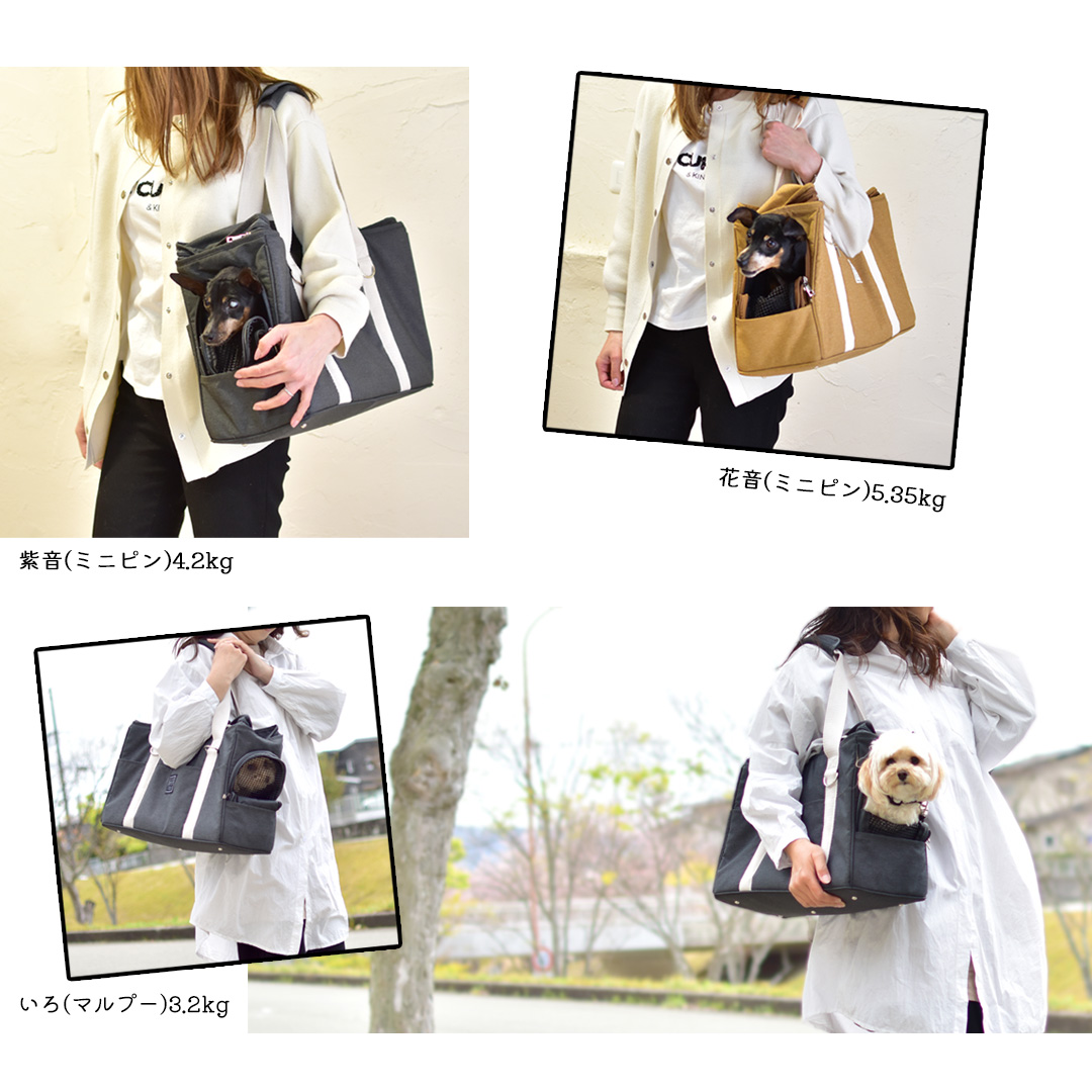 キャリーバッグ ペットキャリー メッシュ ショルダー 安心 長時間 旅行