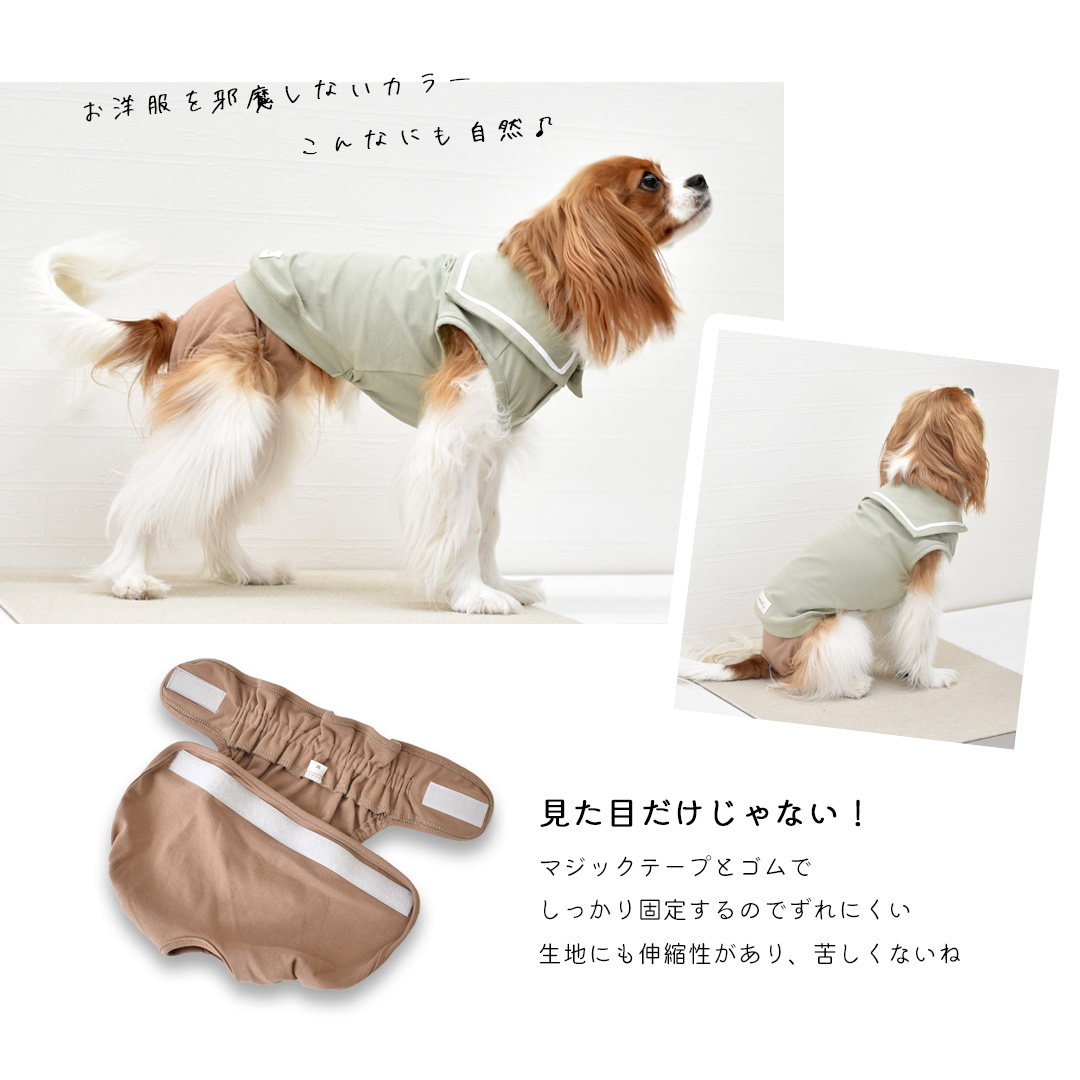 パンツ おむつカバー 名入れ プリント マナーウェア サニタリーパンツ 犬用 犬服 snowdrop ゆうパケット対応 関連画像2