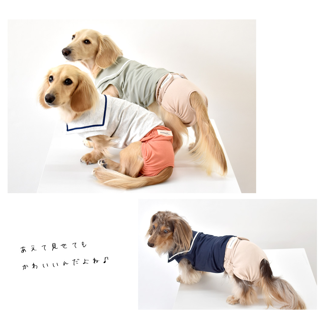 パンツ おむつカバー 名入れ プリント マナーウェア サニタリーパンツ 犬用 犬服 snowdrop ゆうパケット対応 関連画像3