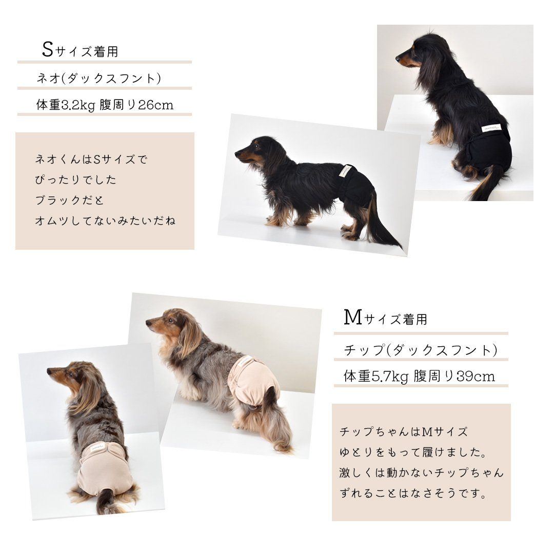 パンツ おむつカバー 名入れ プリント マナーウェア サニタリーパンツ 犬用 犬服 snowdrop ゆうパケット対応 関連画像4