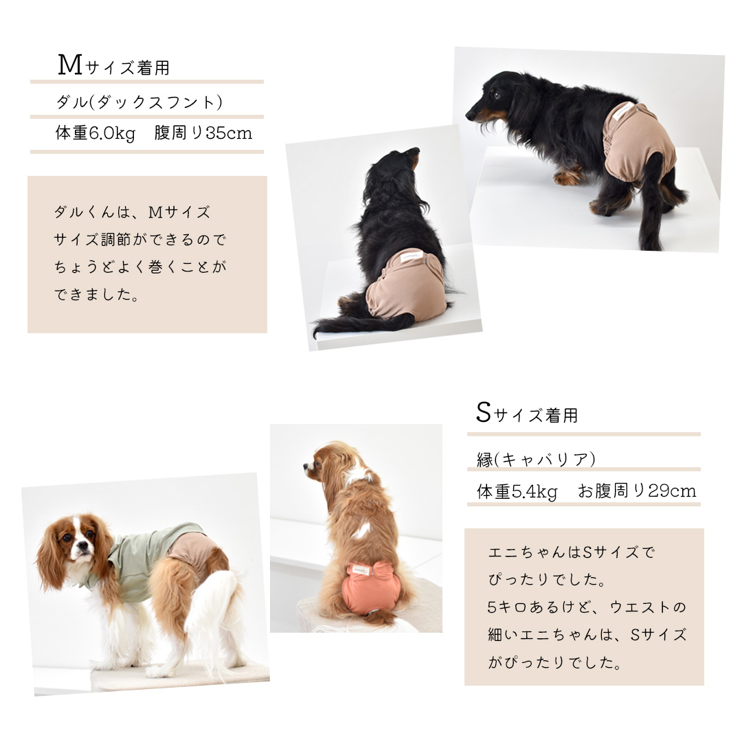 パンツ おむつカバー 名入れ プリント マナーウェア サニタリーパンツ 犬用 犬服 snowdrop ゆうパケット対応 関連画像5