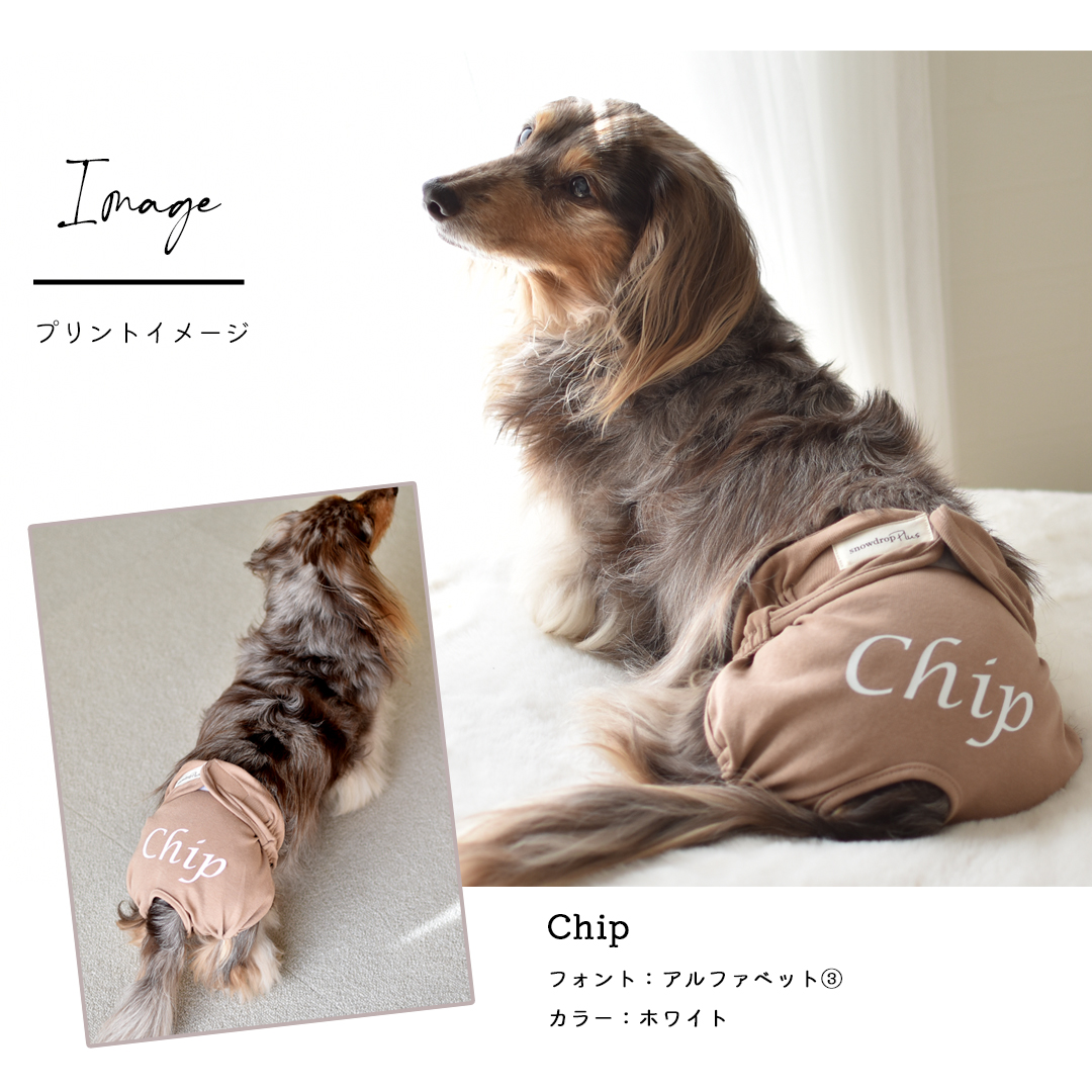 マナーパンツ おむつカバー プリント名入れ マナーウェア サニタリーパンツ 犬用 おむつカバー 犬服 ドッグウェア おむつカバー snowdrop ゆうパケット対応 | ブランド登録なし | 14