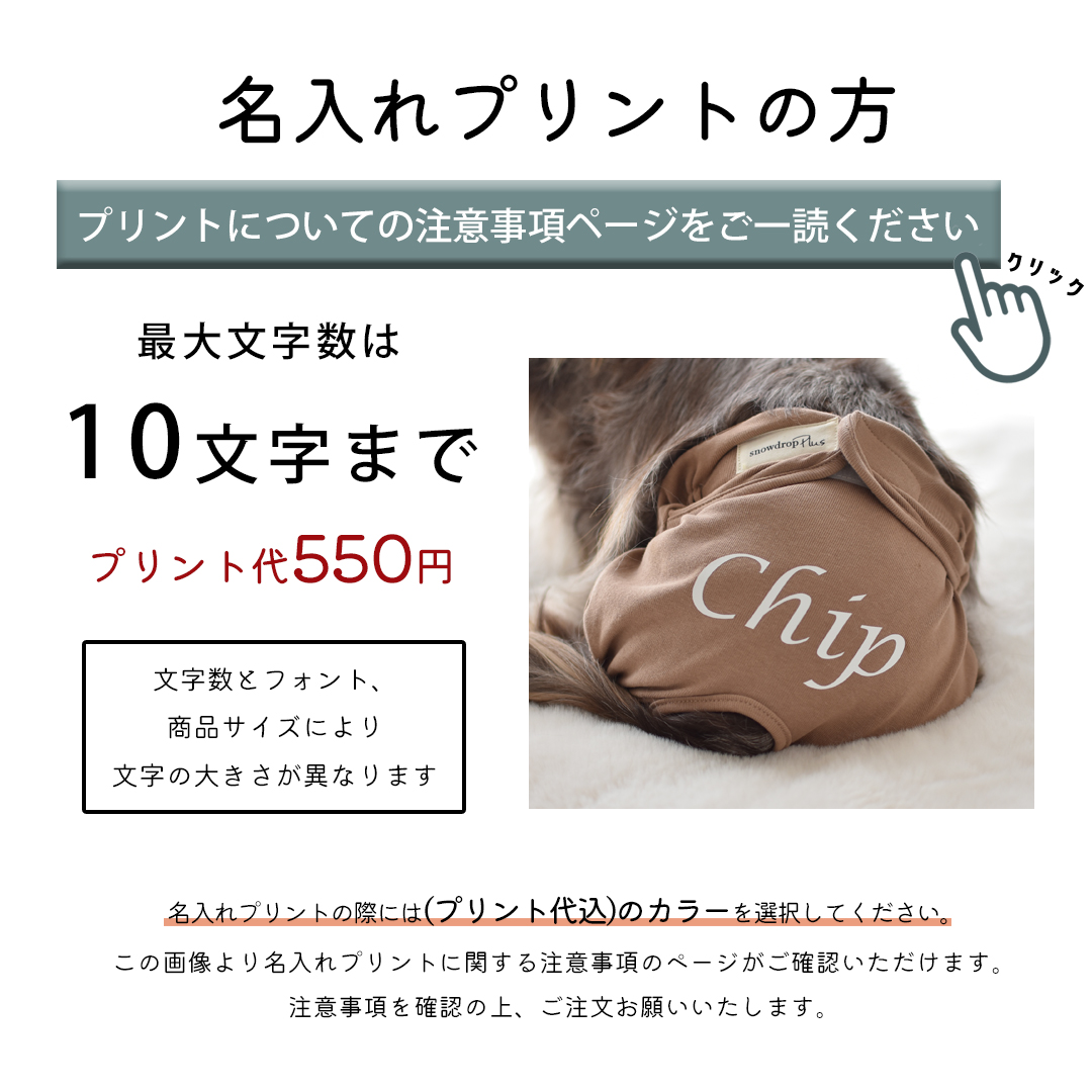 マナーパンツ おむつカバー プリント名入れ マナーウェア サニタリーパンツ 犬用 おむつカバー 犬服 ドッグウェア おむつカバー snowdrop ゆうパケット対応 | ブランド登録なし | 15