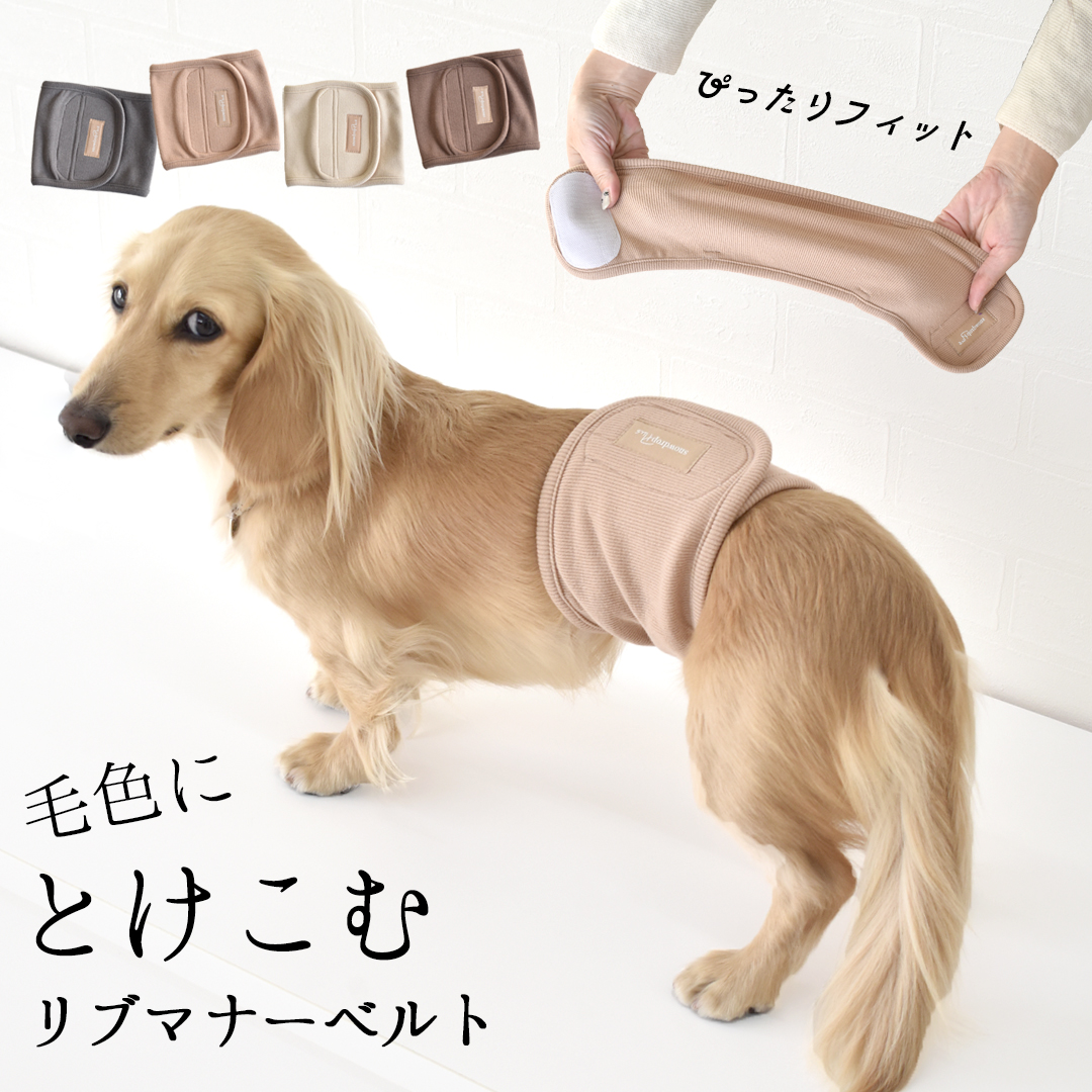 リブマナーベルト　マナーウェア トイレ用品 マナーバンド 伸縮 ドッグウエア マーキング防止 ストレッチ のびのび snowdrop 介護 ゆうパケット対応 | ブランド登録なし