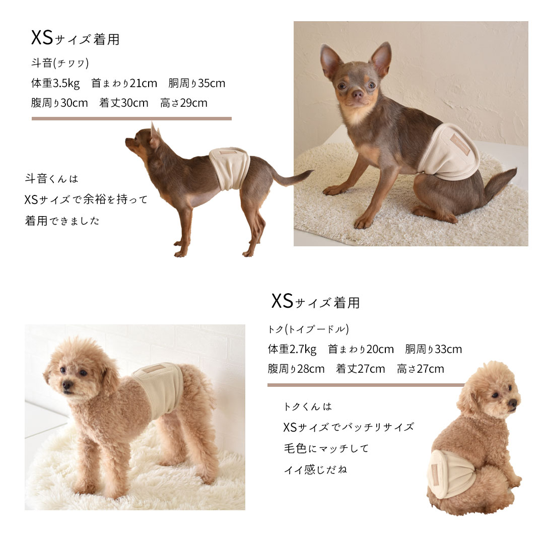 リブマナーベルト　マナーウェア トイレ用品 マナーバンド 伸縮 ドッグウエア マーキング防止 ストレッチ のびのび snowdrop 介護 ゆうパケット対応 | ブランド登録なし | 13