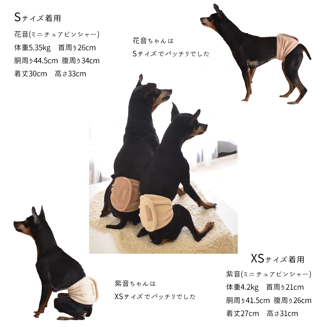 リブマナーベルト　マナーウェア トイレ用品 マナーバンド 伸縮 ドッグウエア マーキング防止 ストレッチ のびのび snowdrop 介護 ゆうパケット対応 | ブランド登録なし | 14