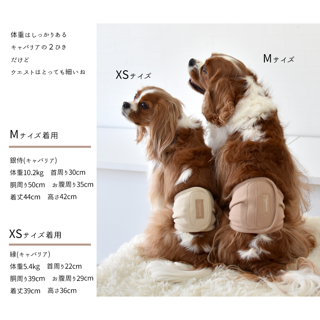 リブマナーベルト　マナーウェア トイレ用品 マナーバンド 伸縮 ドッグウエア マーキング防止 ストレッチ のびのび snowdrop 介護 ゆうパケット対応 | ブランド登録なし | 15