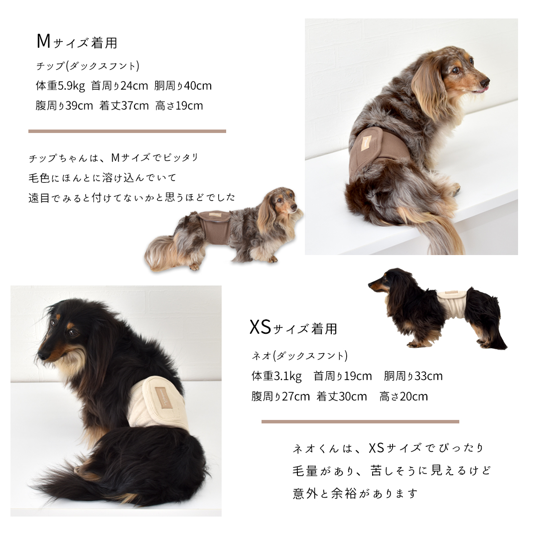 リブマナーベルト　マナーウェア トイレ用品 マナーバンド 伸縮 ドッグウエア マーキング防止 ストレッチ のびのび snowdrop 介護 ゆうパケット対応 | ブランド登録なし | 10