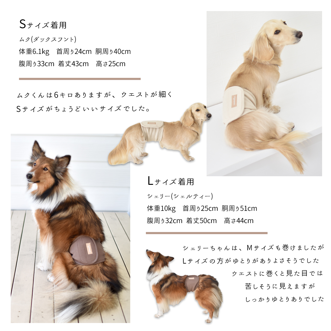 リブマナーベルト　マナーウェア トイレ用品 マナーバンド 伸縮 ドッグウエア マーキング防止 ストレッチ のびのび snowdrop 介護 ゆうパケット対応 | ブランド登録なし | 11