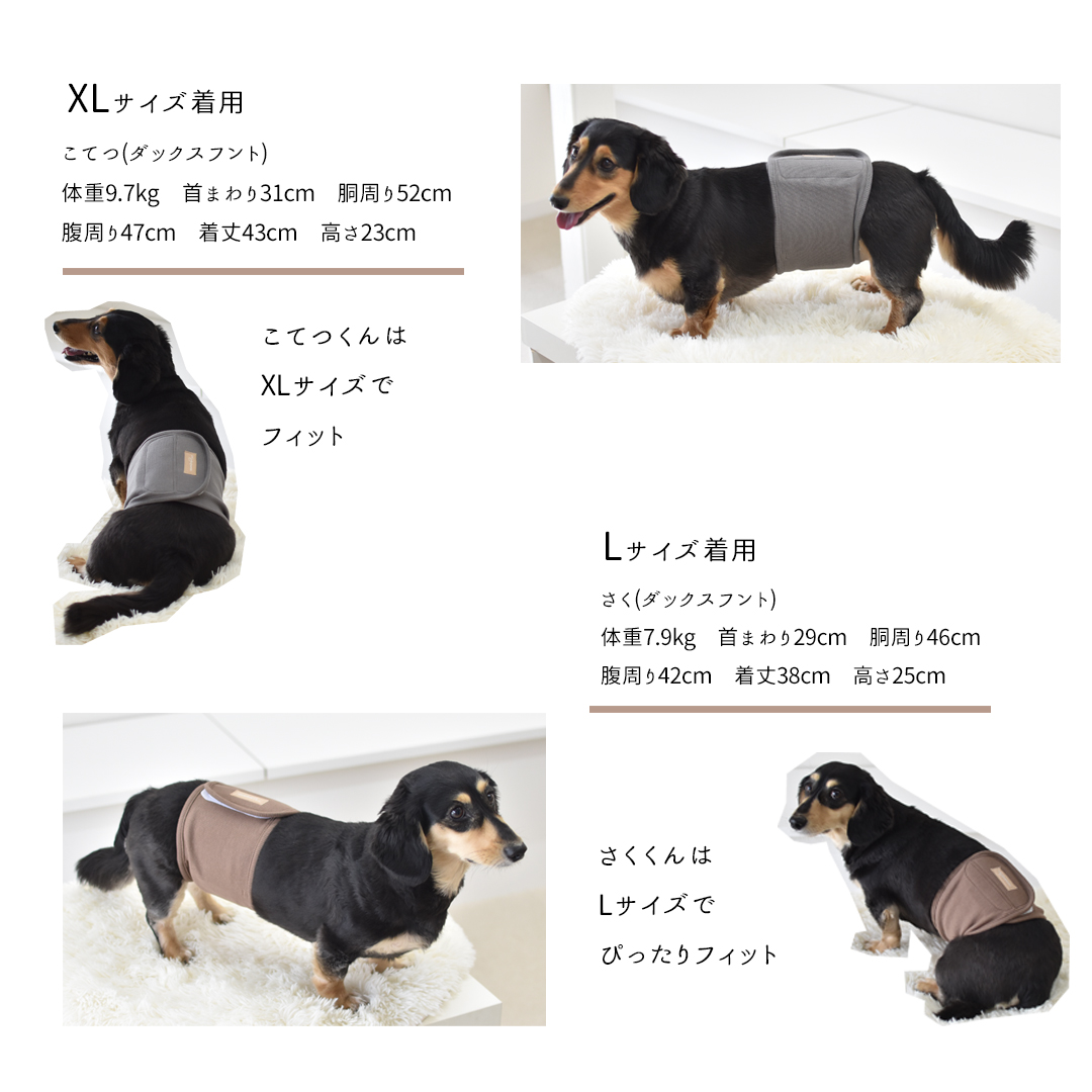リブマナーベルト　マナーウェア トイレ用品 マナーバンド 伸縮 ドッグウエア マーキング防止 ストレッチ のびのび snowdrop 介護 ゆうパケット対応 | ブランド登録なし | 12