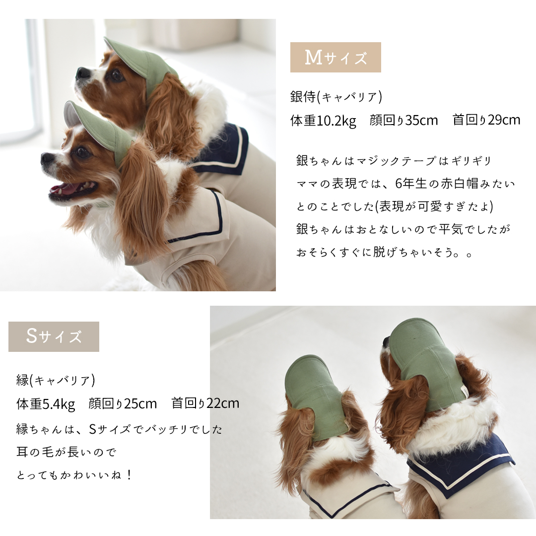 リバーシブル帽子　名入れ 刺繍  コットン ドッグ 帽子 UVケア おしゃれ 紫外線防止 夏バテ防止 日除 被り物 犬用 ゆうパケット対応 | ブランド登録なし | 05