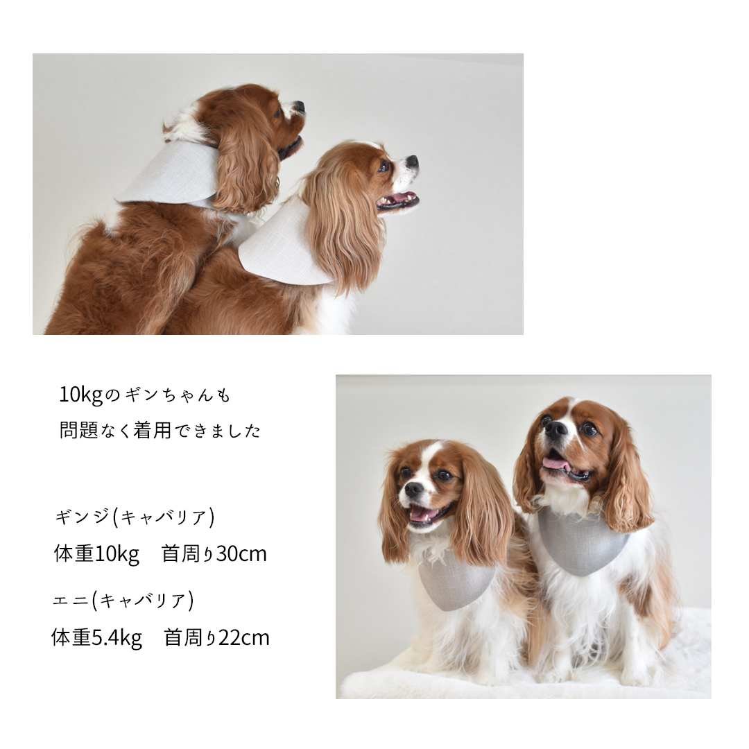 犬用 ネッククーラー 名入れ 保冷剤付き クールネック 夏 ひんやり
