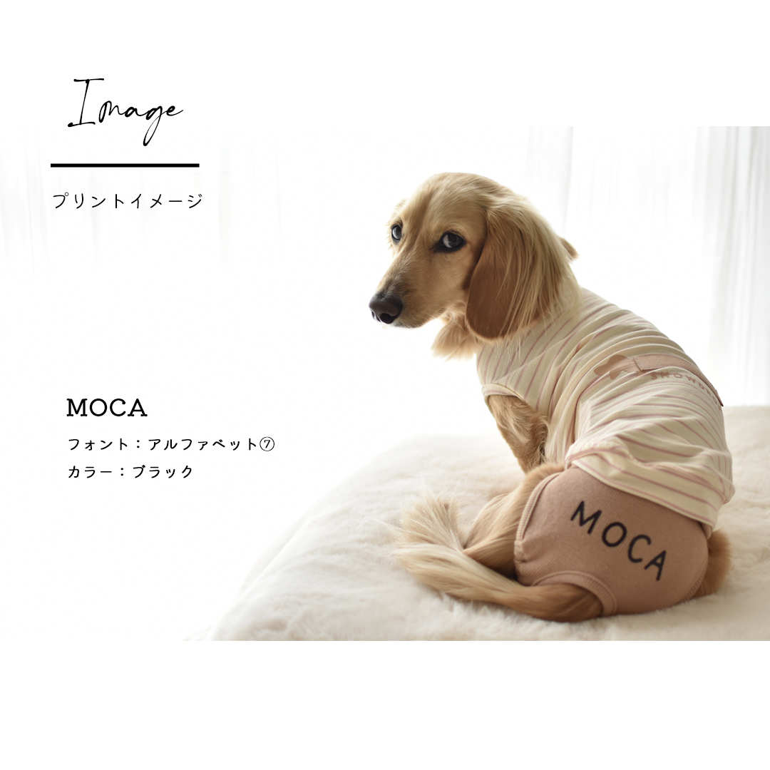 リブおむつカバー マナーパンツ おむつカバー マナーウェア サニタリー