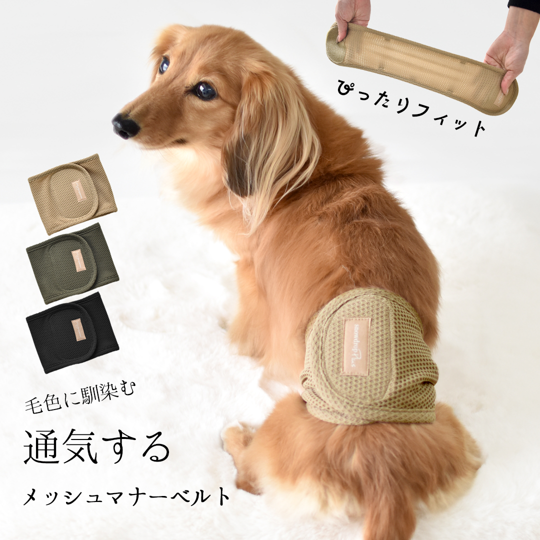 メッシュマナーベルトマナーベルト マナーウェア トイレ用品 マナーバンド マーキング防止 ストレッチ のびのび snowdrop 介護 用品 ゆうパケット対応 | ブランド登録なし