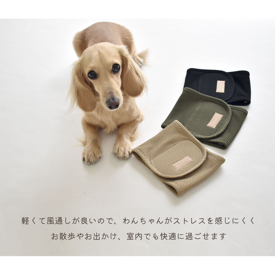 メッシュマナーベルトマナーベルト マナーウェア トイレ用品 マナーバンド マーキング防止 ストレッチ のびのび snowdrop 介護 用品 ゆうパケット対応 | ブランド登録なし | 05
