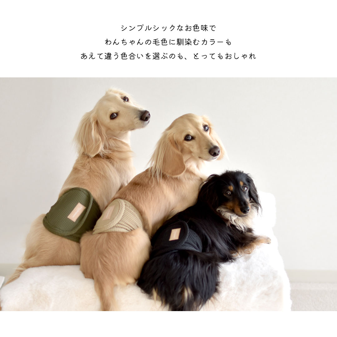 メッシュマナーベルトマナーベルト マナーウェア トイレ用品 マナーバンド マーキング防止 ストレッチ のびのび snowdrop 介護 用品 ゆうパケット対応 | ブランド登録なし | 07