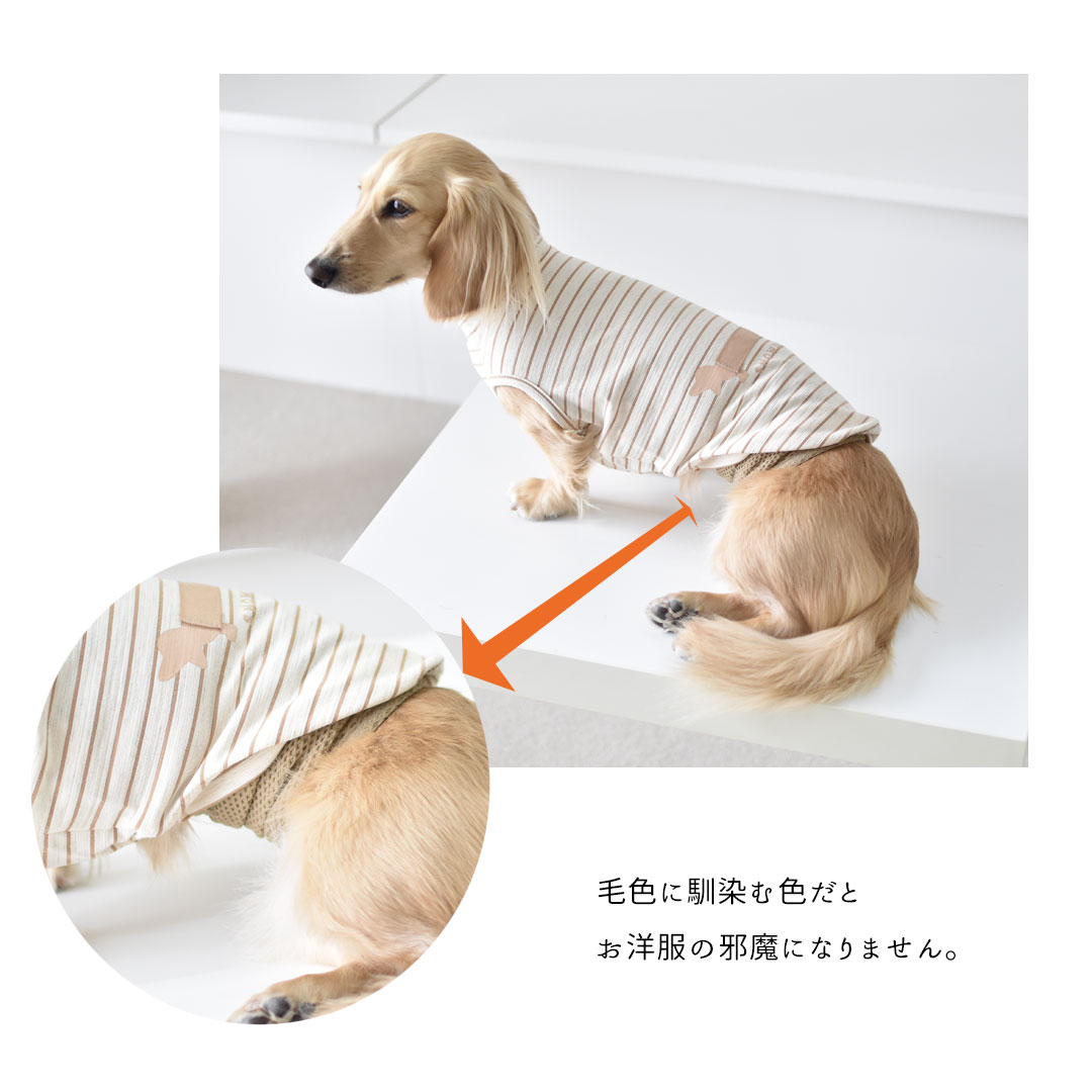 メッシュマナーベルトマナーベルト マナーウェア トイレ用品 マナーバンド マーキング防止 ストレッチ のびのび snowdrop 介護 用品 ゆうパケット対応 | ブランド登録なし | 08