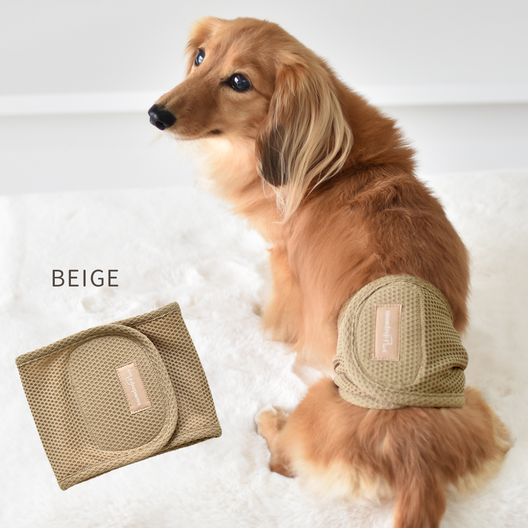 メッシュマナーベルトマナーベルト マナーウェア トイレ用品 マナーバンド マーキング防止 ストレッチ のびのび snowdrop 介護 用品 ゆうパケット対応 | ブランド登録なし | 01