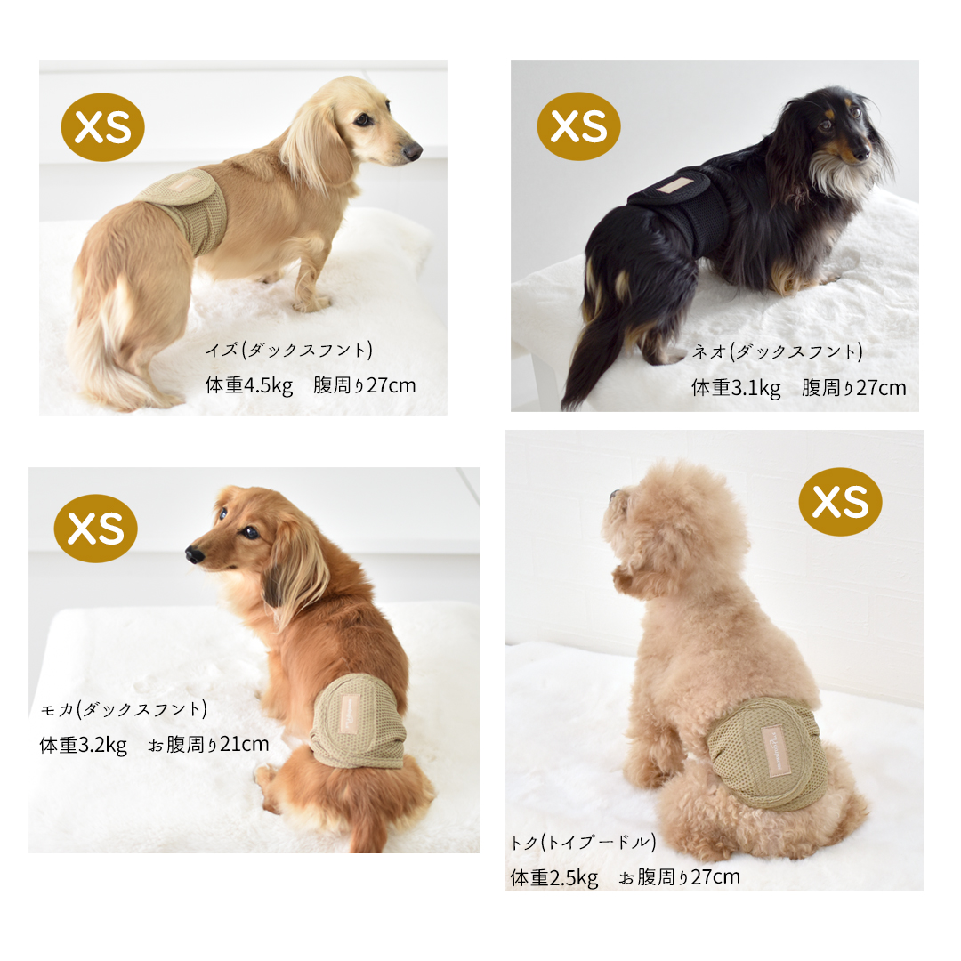 メッシュマナーベルトマナーベルト マナーウェア トイレ用品 マナーバンド マーキング防止 ストレッチ のびのび snowdrop 介護 用品 ゆうパケット対応 | ブランド登録なし | 09