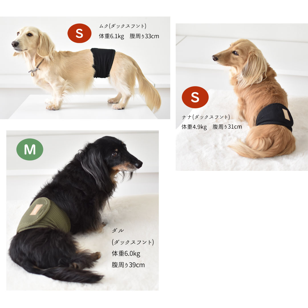 メッシュマナーベルトマナーベルト マナーウェア トイレ用品 マナーバンド マーキング防止 ストレッチ のびのび snowdrop 介護 用品 ゆうパケット対応 | ブランド登録なし | 10