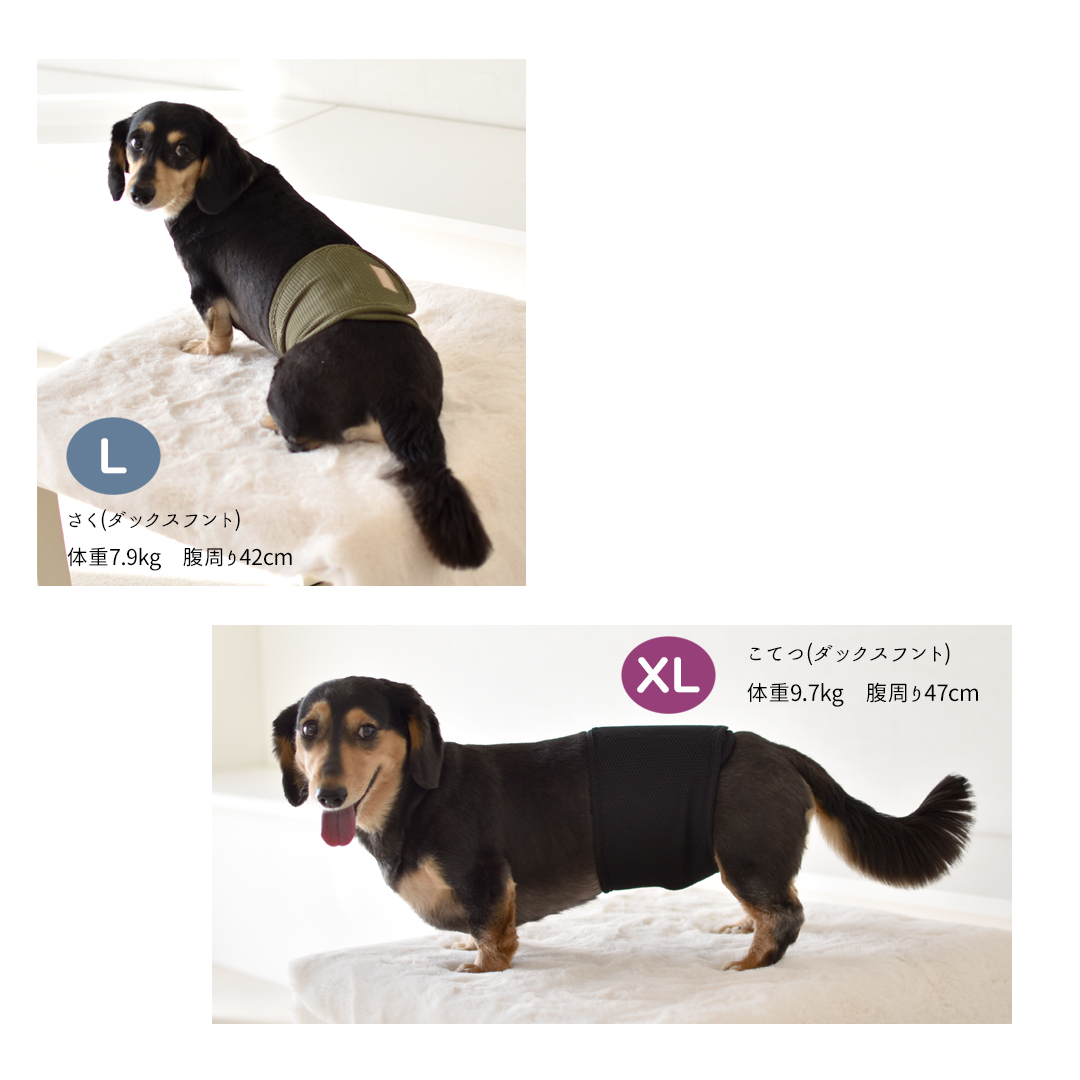 メッシュマナーベルトマナーベルト マナーウェア トイレ用品 マナーバンド マーキング防止 ストレッチ のびのび snowdrop 介護 用品 ゆうパケット対応 | ブランド登録なし | 11