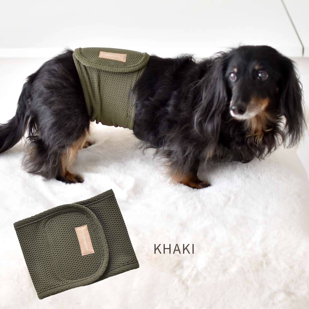 メッシュマナーベルトマナーベルト マナーウェア トイレ用品 マナーバンド マーキング防止 ストレッチ のびのび snowdrop 介護 用品 ゆうパケット対応 | ブランド登録なし | 03